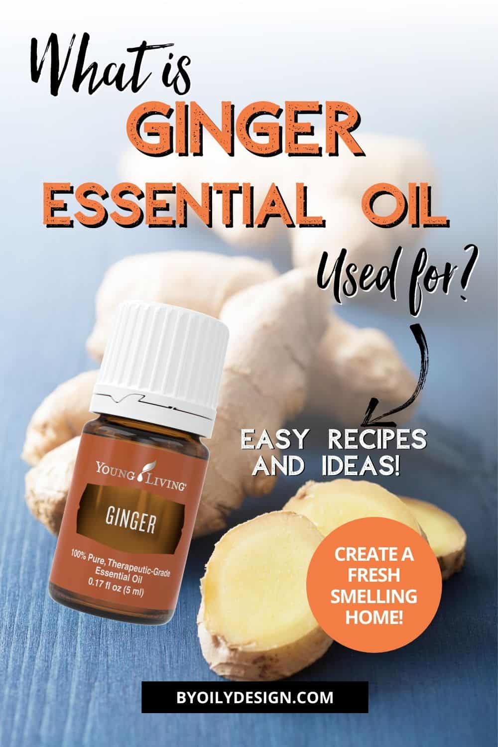 Ginger Essential oil uses - By Oily Design