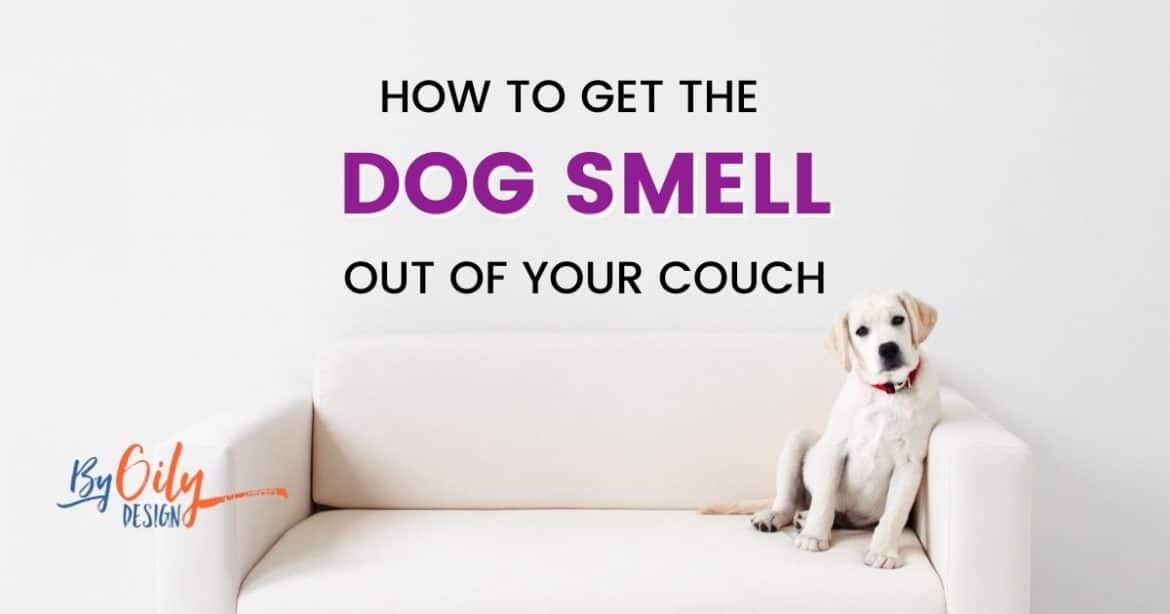 How to get dog smell out of your couch - By Oily Design