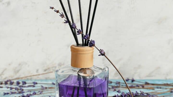 Reed Diffuser Home Fragrance — simplified